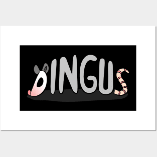 Dingus Posters and Art